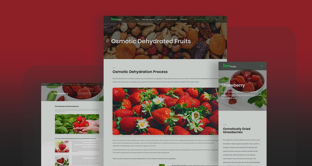 responsive web design